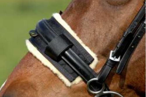 Lambskin-Protector Noseband by CHRIST
