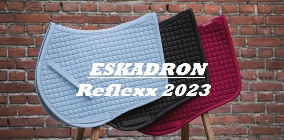 Reflexx_2023Text